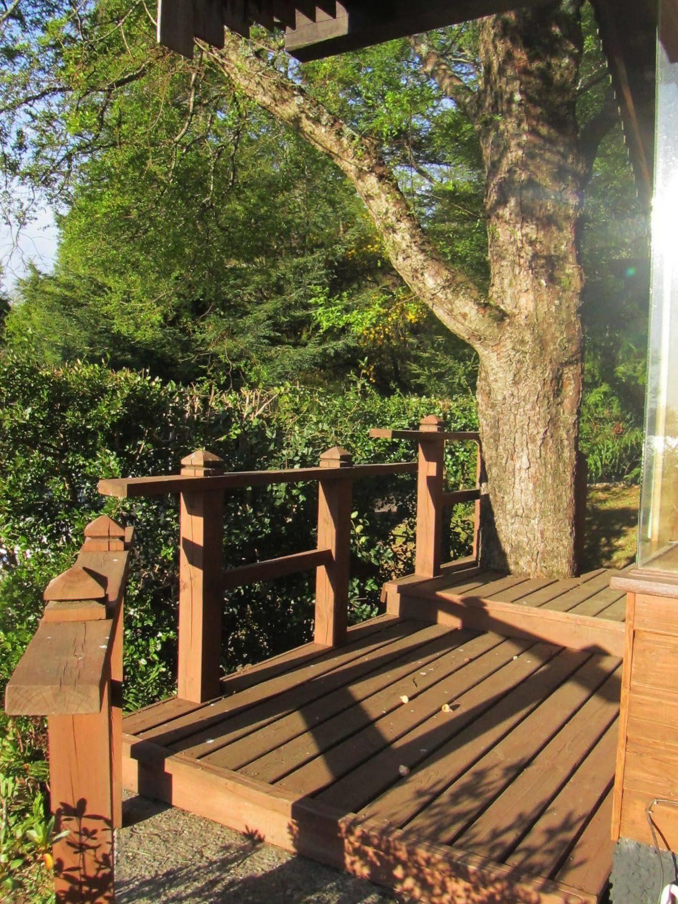 Cabanas Portal Pucón Dış mekan fotoğraf